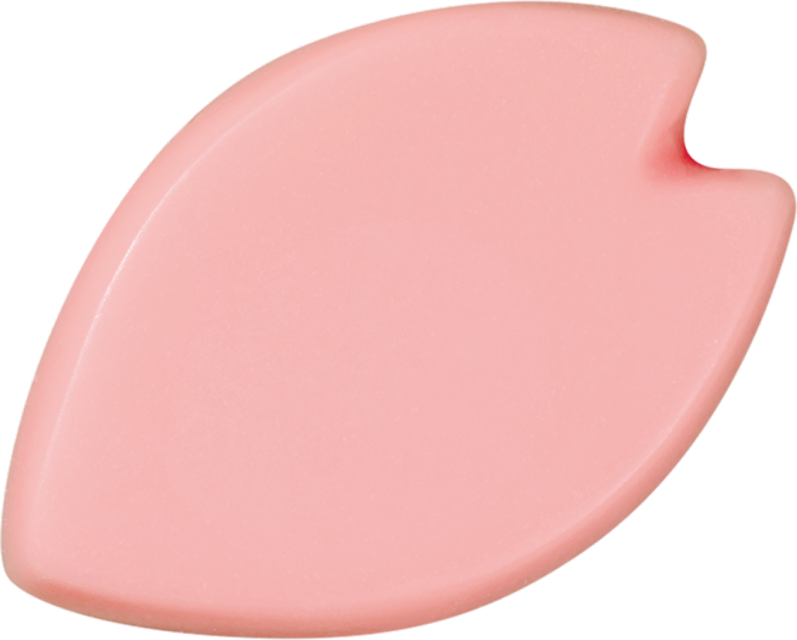 ＭＣ・桜の花びら