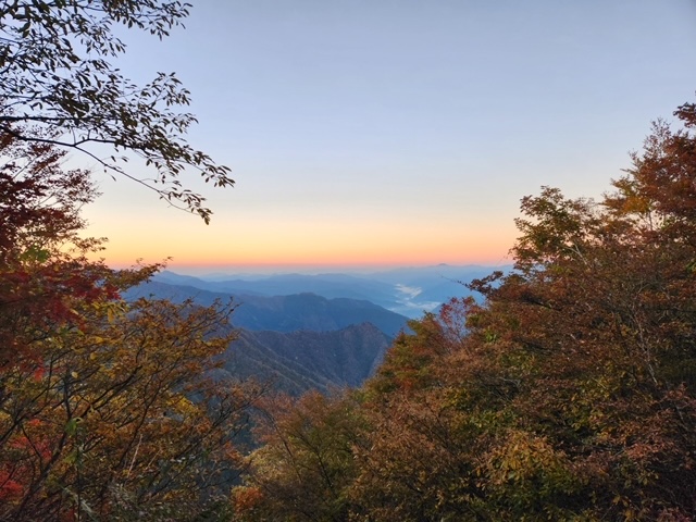 皆様は「何の秋」？？🍁